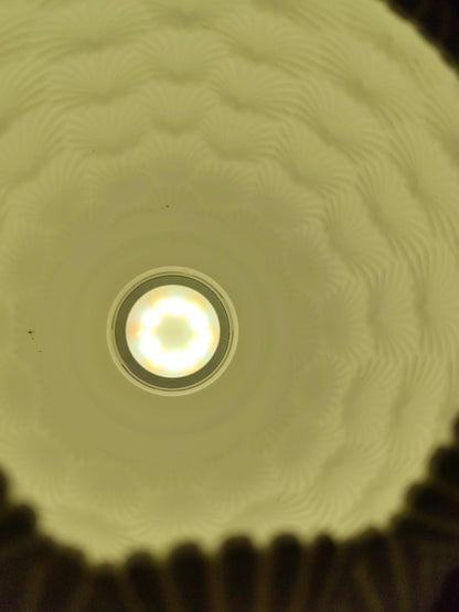 Sinister Select Shell Lamp – Hand-Printed in Perth | Modern cordless LED Table Lamp