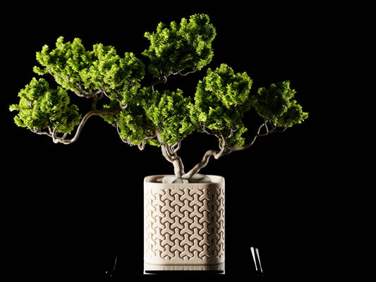 Seraphis Planter Pot – Unique Biodegradable and Perfect for Any Space