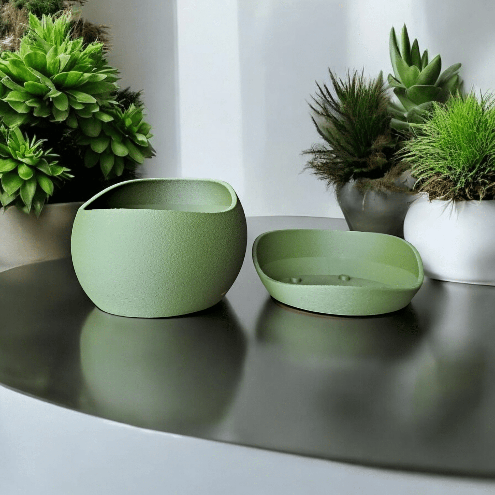 Shark Skin Plant Pot with Saucer – Bringing Texture to Your Green Space
