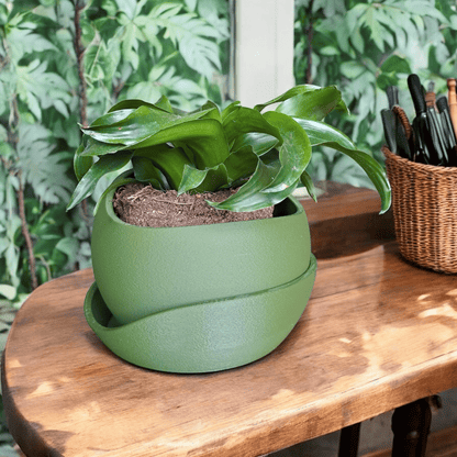 Shark Skin Plant Pot with Saucer – Bringing Texture to Your Green Space
