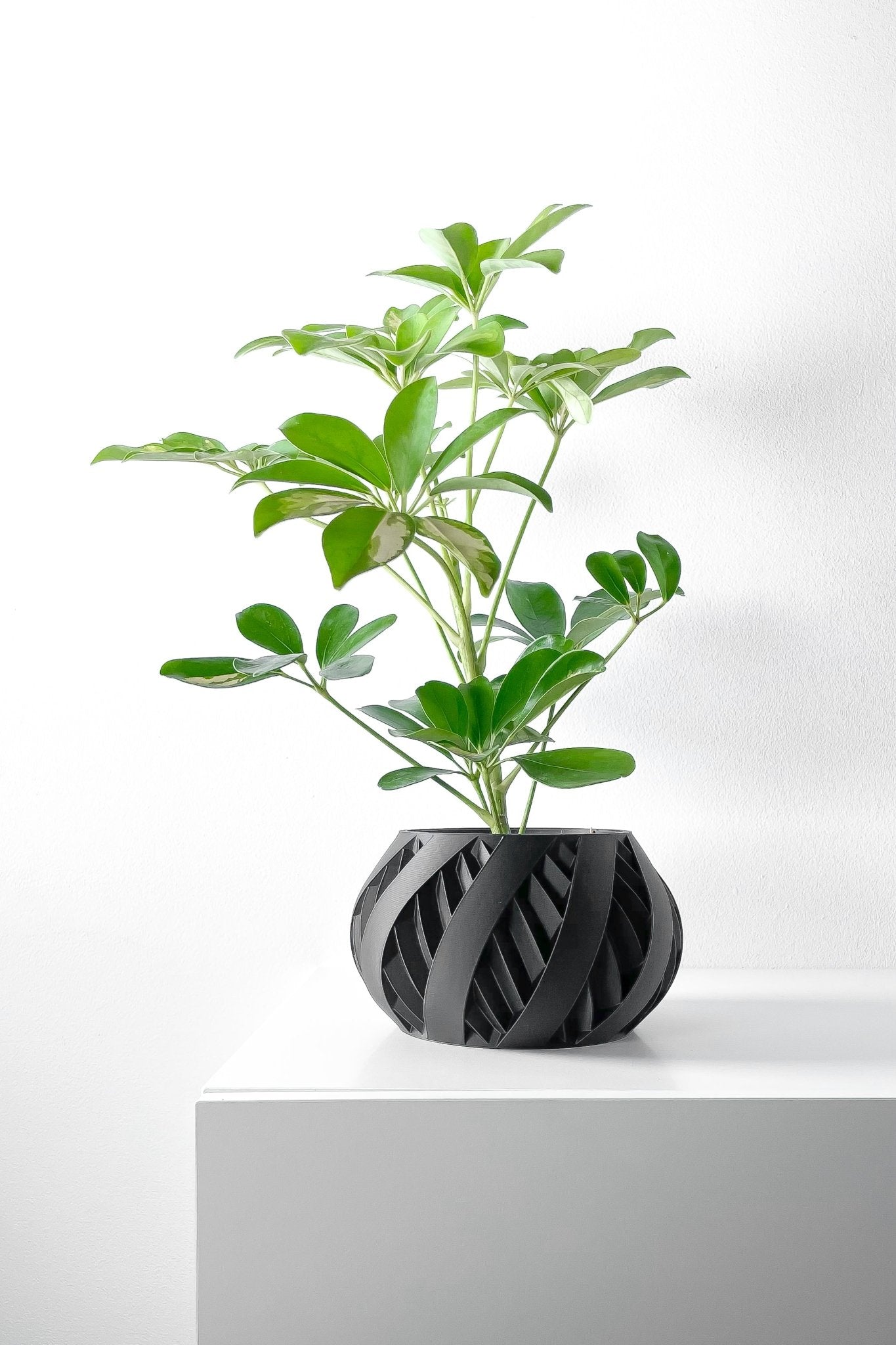 Silvo Planter Pot