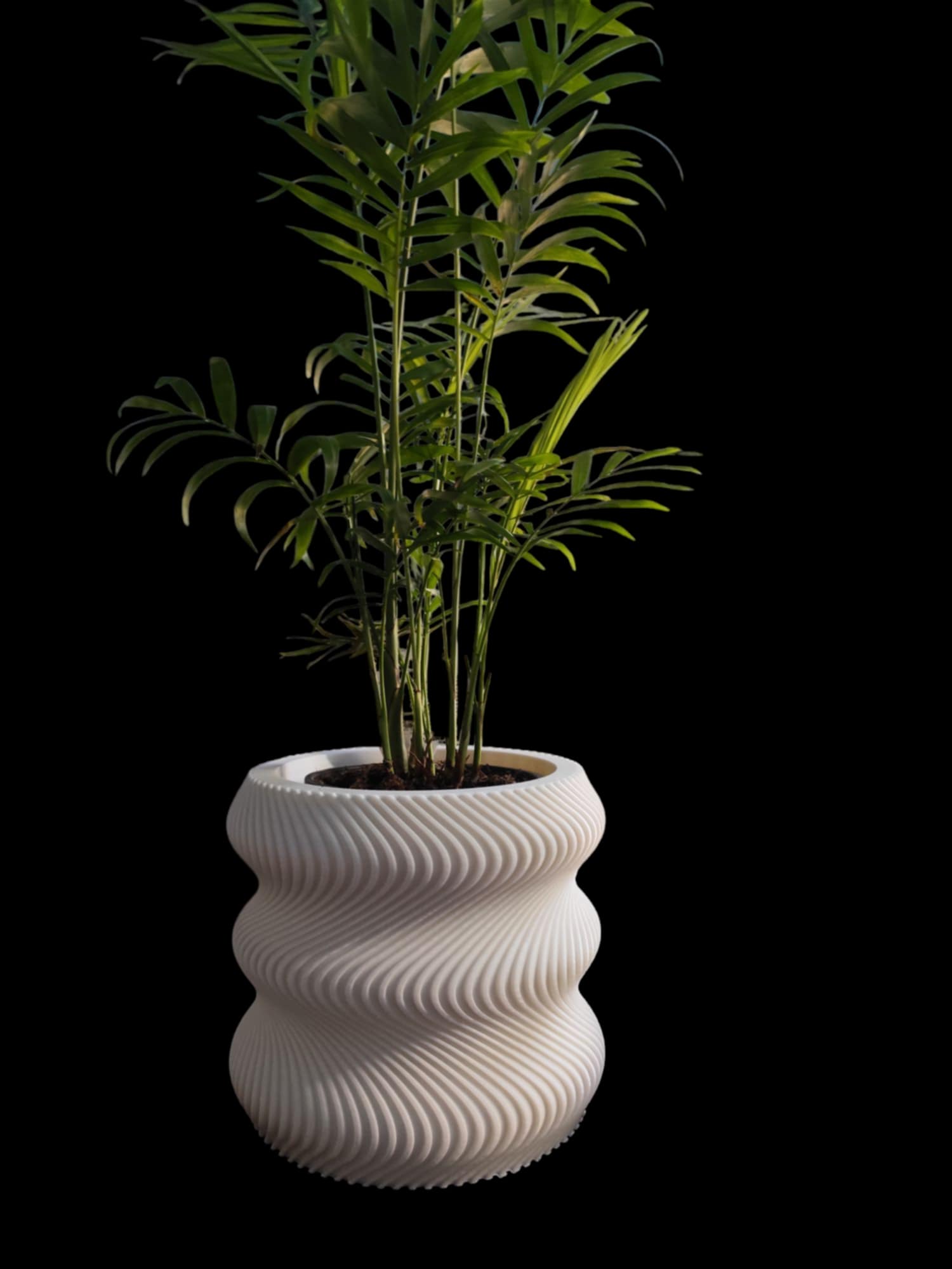 Sinister Select Twister Planter Pot – Unique Biodegradable and Perfect for Any Space