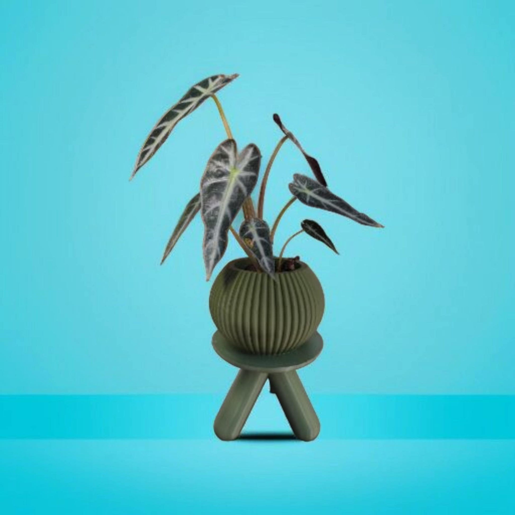 Sinister Signature Plant Stand