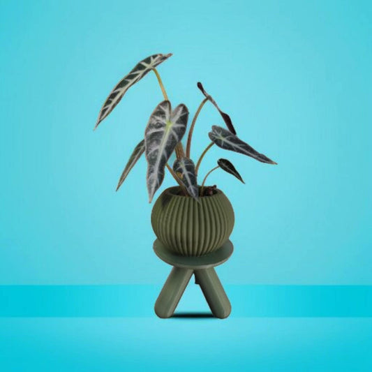 Sinister Signature Plant Stand