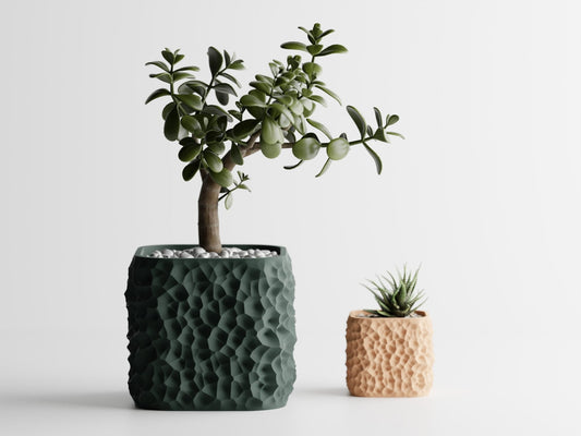 TerraForma Planter Pot – Unique Biodegradable