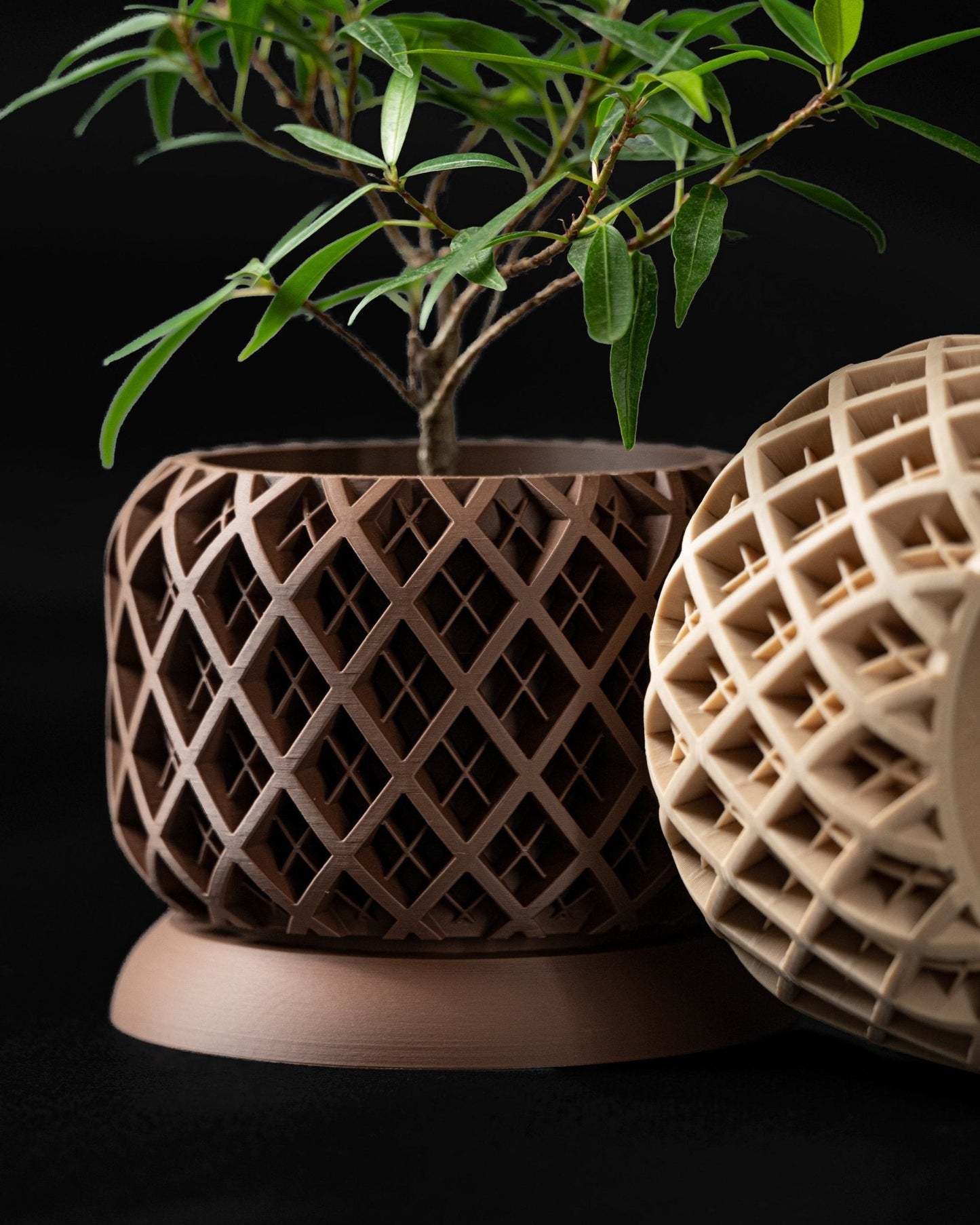 Torio Planter Pot – Eco-Friendly Stylish & Durable!