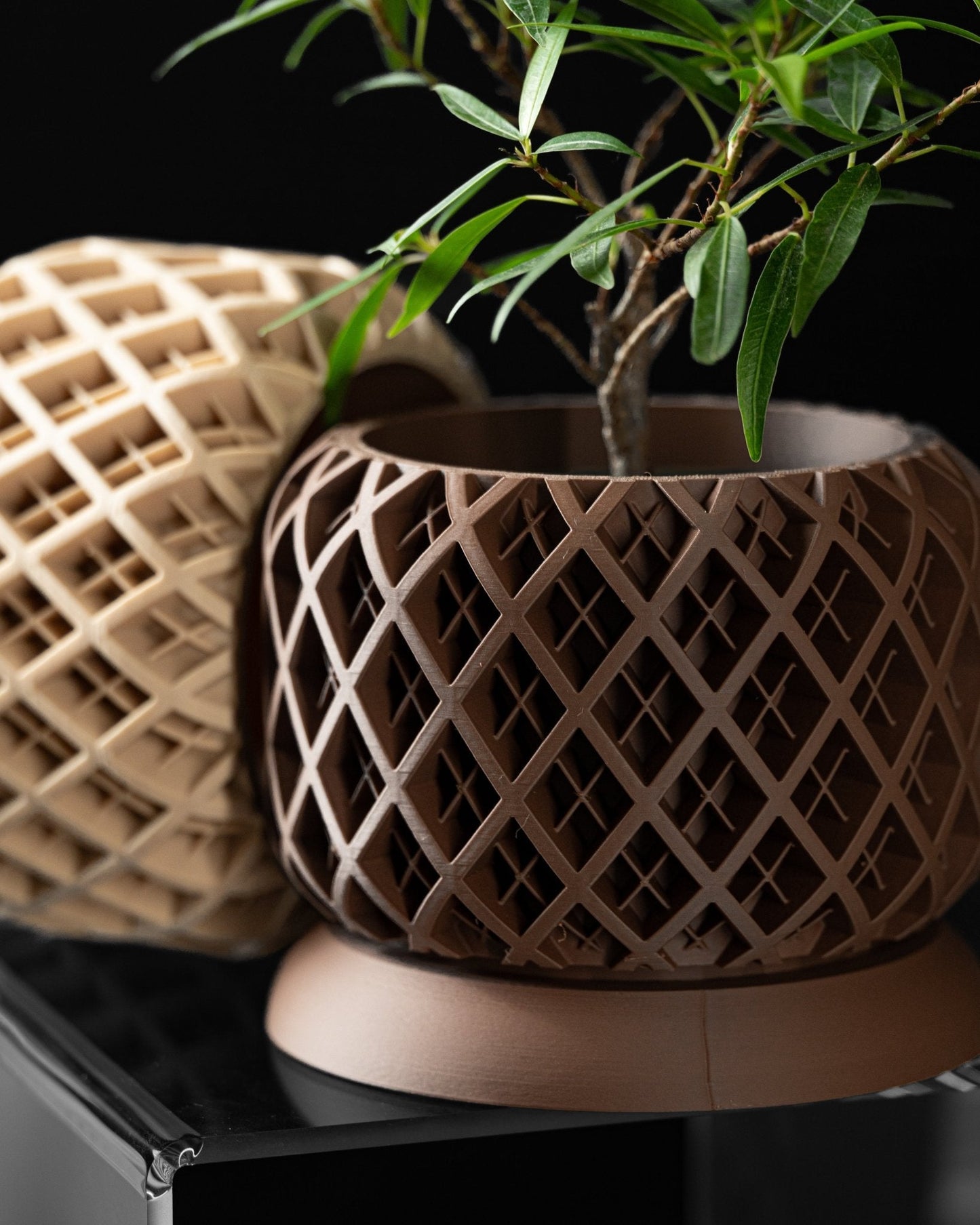 Torio Planter Pot – Eco-Friendly Stylish & Durable!