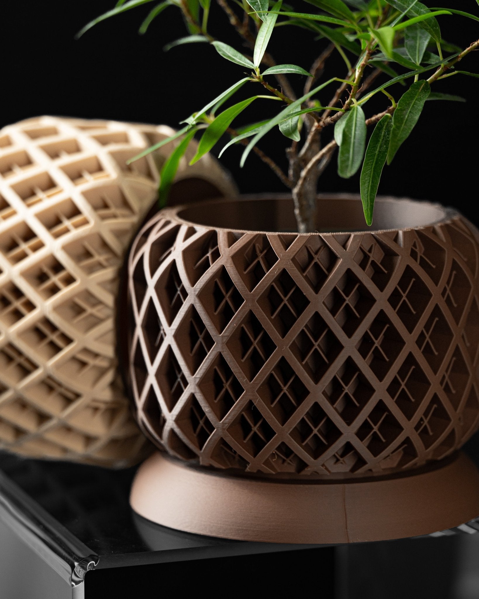 Torio Planter Pot – Eco-Friendly Stylish & Durable!