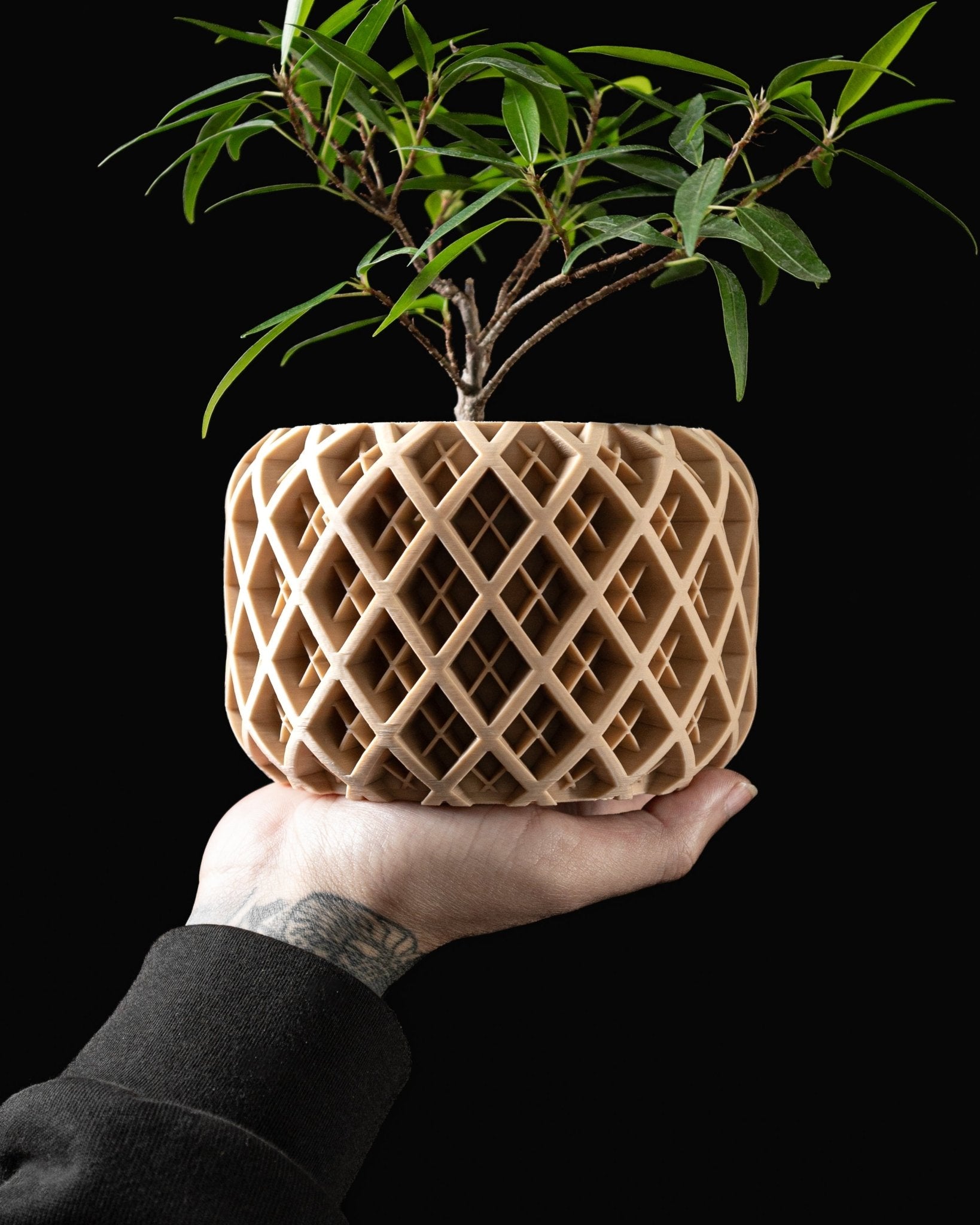 Torio Planter Pot – Eco-Friendly Stylish & Durable!