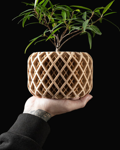 Torio Planter Pot – Eco-Friendly Stylish & Durable!